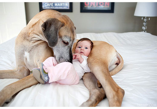 Ребенок и собака на диване